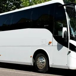 Zoom Coach Hire