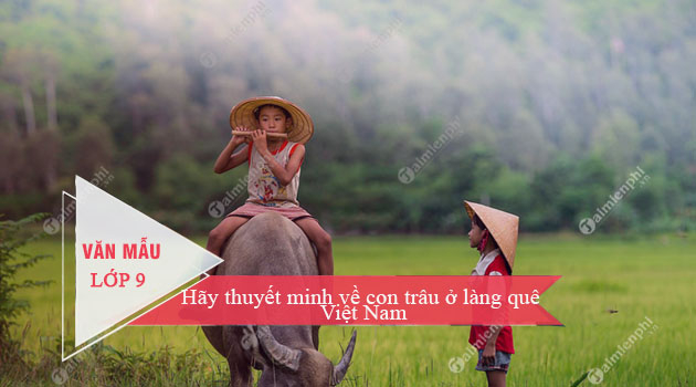 Bài văn thuyết minh về con trâu ở làng quê Việt Nam số 2
